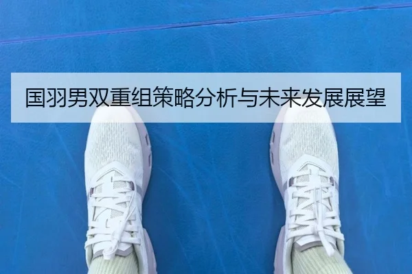 国羽男双重组策略分析与未来发展展望