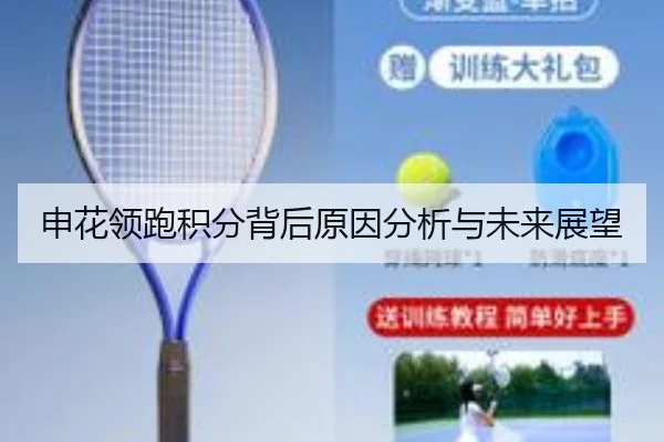申花领跑积分背后原因分析与未来展望