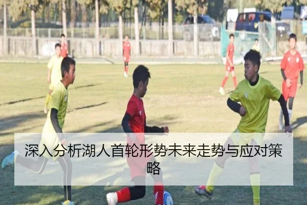 深入分析湖人首轮形势未来走势与应对策略