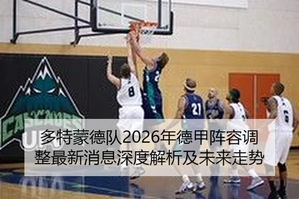 多特蒙德队2026年德甲阵容调整最新消息深度解析及未来走势